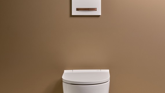 Wall-hung WC ceramic appliance from the Geberit ONE bathroom series (© Geberit)