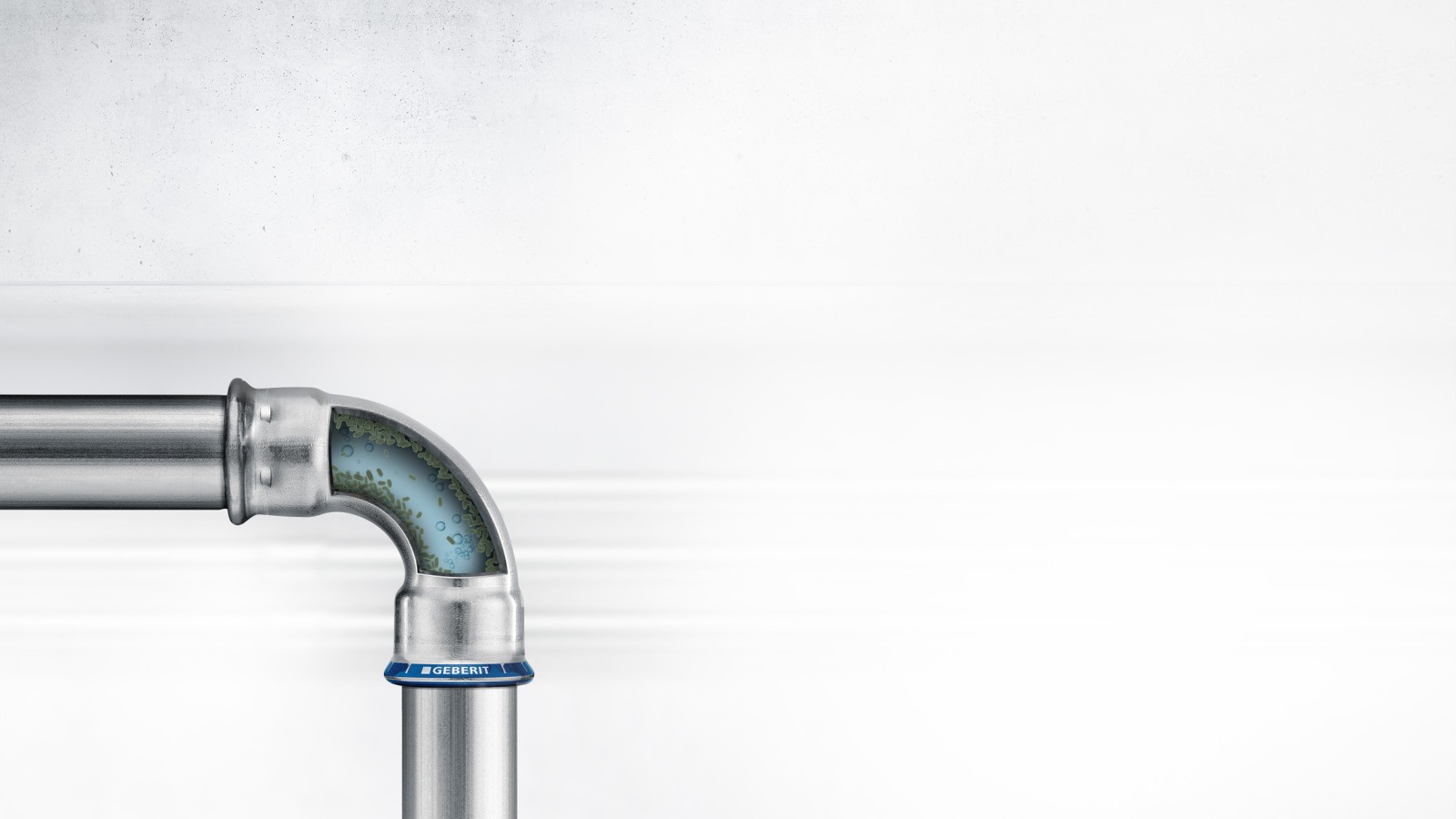 Biofilm in the drinking water system