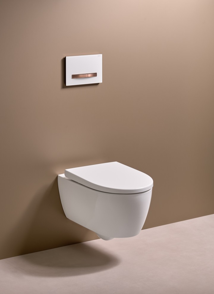 Geberit actuator plate used to trigger the toilet flush Geberit actuator plate used to trigger the toilet flush